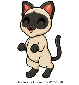 Caricatura de un gato siamés lindo