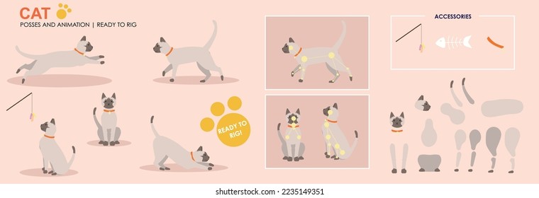 Cute Siamese cat, jumping, playing, multiple poses, positions. Vector broken down ready to rig and animate, cartoon cat playing eating. Animation