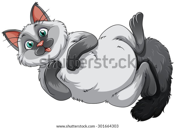 Cute Siamese Cat Long Hair Stock Vector Royalty Free 301664303