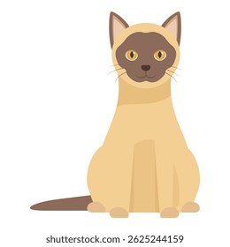 Cute siamese cat is sitting and looking forward
