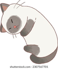 Cute Siamese Cat Sleep like a baby