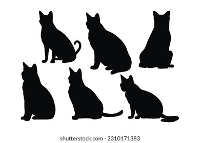 Cute Siamese cats silhouette bundle design. Domestic cats sitting in different positions. Cat full body silhouette collection. Cute cats and feline sitting, silhouettes on a white background.