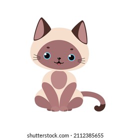 Cute siamese kawaii cat sitting isolated on white background. Cartoon flat style. Vector illustration
