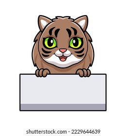 Cute siberian cat cartoon holding blank sign