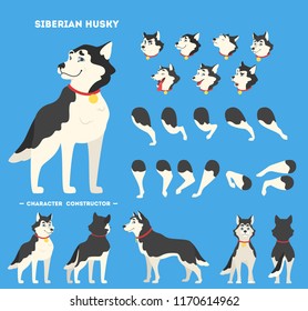 Cute siberian husky dog character animation set with various views, face emotions and poses. Vector illustration in cartoon style