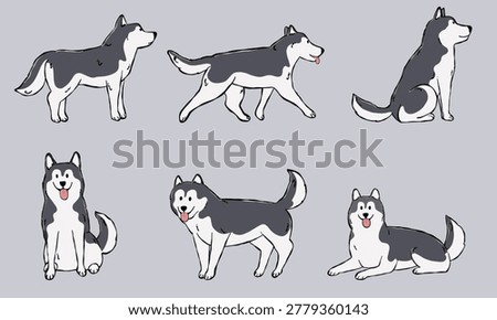 Cute Siberian Husky Dog Poses Illustration Set
