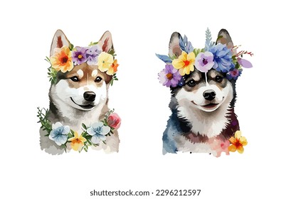 Cute Siberian Husky dog watercolor isolated on white background. Cute portrait of dog with spring or summer flowers set. Vector illustration