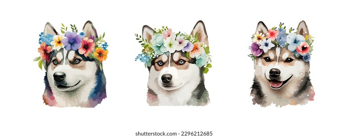 Cute Siberian Husky dog watercolor isolated on white background. Cute portrait of dog with spring or summer flowers set. Vector illustration