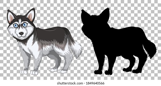 Cute siberian husky and its silhouette on transparent background illustration