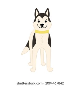 Cute Siberian Husky stands in a playful pose. Vector illustration of a dog