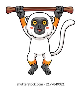 Cute sifaka lemur monkey cartoon hanging on tree
