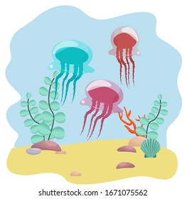 Cute silhouette jellyfishes in vector design. Composition with corals, seashell and stones. Graphic colorful underwater life. Aquarium, tropical drawing