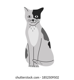 Cute silver shorthair cat sitting, illustration in flat cartoon style. Gray cute kitty pet, isolated on white background. 