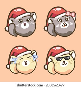 cute silver and yellow cats wit christmas santa claus hat
