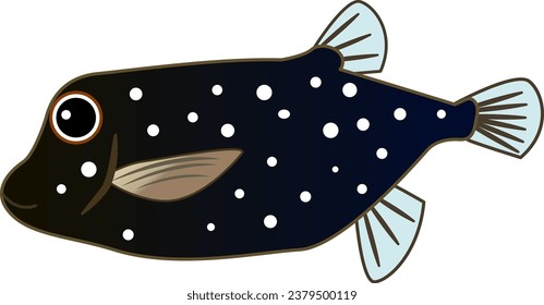 Cute and simple boxfish illustration