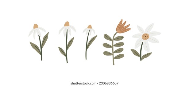 Cute Simple Flowers - flat illustration in modern style. Vector illustration with flowers, leaves