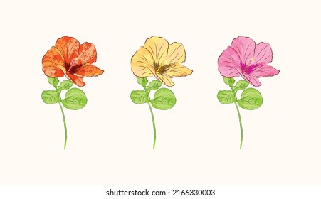 Cute simple four colors of Hibiscus flower in cartoonish flat doodle illustration art design