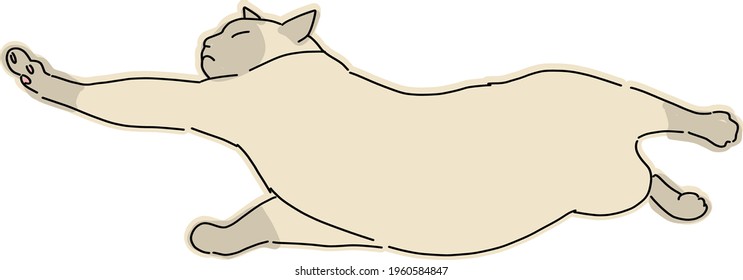 Ilustración corta y simple de cuerpo completo del gato