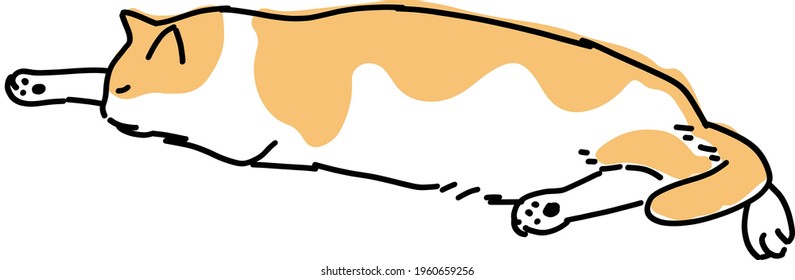 Cute and simple full body illustration of cat