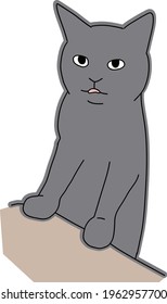 Cute and simple full body illustration of cat