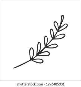 Cute simple hand drawn foliage branch isolated on white background. Vector illustration