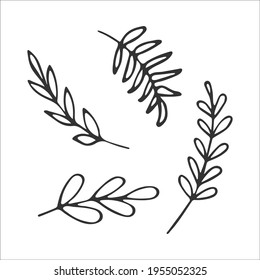 Cute simple hand drawn forest branches isolated on white background. Vector illustration