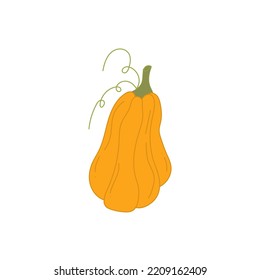 Kürbis auf weißem Hintergrund, leicht handgezeichnet, im Cartoon-Stil. Halloween-Dekoration, Design-Element. Drucken. 