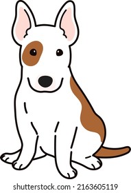 Cute and simple illustration of Bull Terrier Dog sitting in front view
