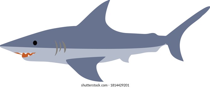 Cute and simple illustration of a shark seen from the side
