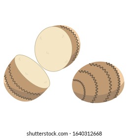 Cute and simple illustration of taro
