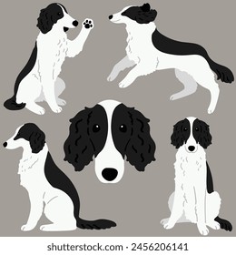 Cute and simple illustrations of black and white Borzoi Dog