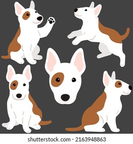 Cute and simple illustrations of Bull Terrier Dog flat colored