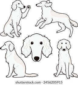 Cute and simple illustrations of white Borzoi Dog outlined