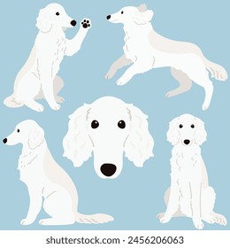 Cute and simple illustrations of white Borzoi Dog flat colored