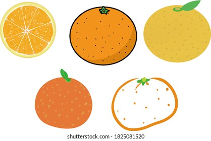 Cute and simple mandarin orange illustration set