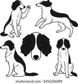 Lindas y simples ilustraciones de Borzoi Dog en blanco y negro