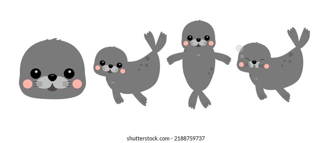 Cute and simple seal vector images