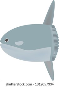 Cute and simple sunfish illustration