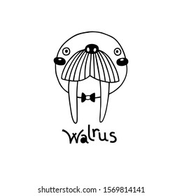 Cute, simple walrus face cartoon style. Vector illustration.