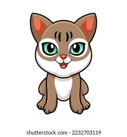 Cute singapura cat cartoon sitting