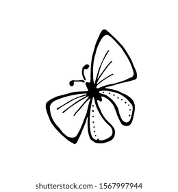 Cute single hand drawn butterfly, element lily. Doodle vector illustration for wedding design, logo and greeting card and decor. Isolated illustration on white.