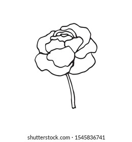 Cute single hand drawn floral elements. Doodle vector illustration for wedding design, logo and greeting card.  