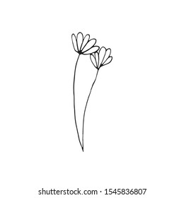 Cute single hand drawn floral elements. Doodle vector illustration for wedding design, logo and greeting card.  