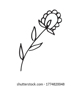 Elementos florales dibujados a mano. Ilustración del vector Doodle para el diseño de bodas, logotipo y tarjeta de saludo. Flores primaverales dibujadas a mano tradicionales con un estilo de tinta.