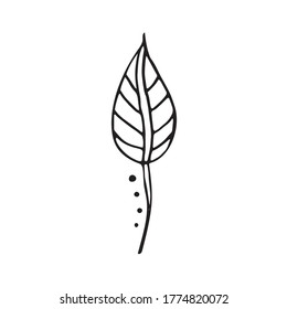 Cute single hand drawn floral elements. Doodle vector illustration for wedding design, logo and greeting card. Traditional hand drawn spring flowers in ink style.