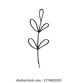 Cute single hand drawn floral elements. Doodle vector illustration for wedding design, logo and greeting card. Traditional hand drawn spring flowers in ink style.