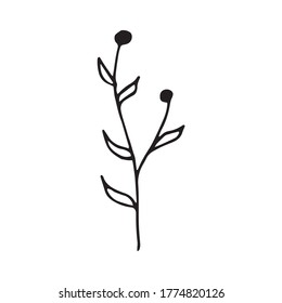 Cute single hand drawn floral elements. Doodle vector illustration for wedding design, logo and greeting card. Traditional hand drawn spring flowers in ink style.
