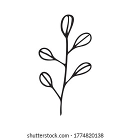 Cute single hand drawn floral elements. Doodle vector illustration for wedding design, logo and greeting card. Traditional hand drawn spring flowers in ink style.