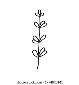 Cute single hand drawn floral elements. Doodle vector illustration for wedding design, logo and greeting card. Traditional hand drawn spring flowers in ink style.