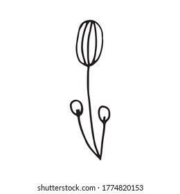 Cute single hand drawn floral elements. Doodle vector illustration for wedding design, logo and greeting card. Traditional hand drawn spring flowers in ink style.